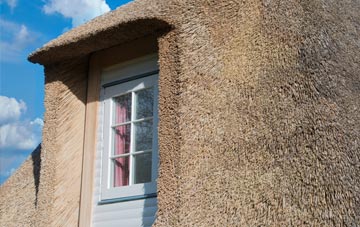 Hooton thatch roof disadvantages